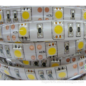 12V/24V SMD 3528/5050 LED Strip Light for Decoration